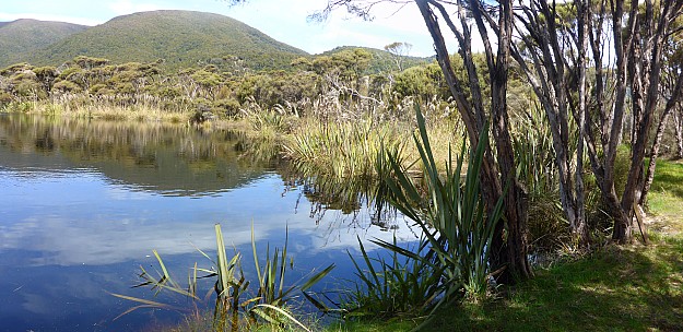 Rakeahua Landing
Photographer;&nbsp;Simon
2019-11-12&nbsp;14.52.55;&nbsp;Metadata time: '2019 Nov 12 14:52'
Original size:&nbsp;6,444 x 3,136; 22,287 kB;&nbsp;stitch
Filename: 2019-11-12 14.52.55 Panorama Simon - Rakeahua Landing_stitch.jpg