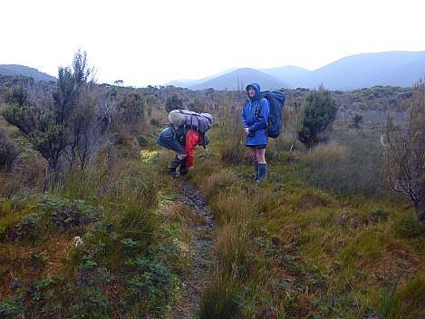 2019-11-13 07.54.54 P1030008 Simon - Brian and Jim leaving Rakeahu Hut.jpeg: 4608x3456, 6359k (2019 Nov 13 07:54)