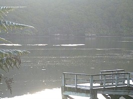 Freds Camp Hut to Freshwater Hut