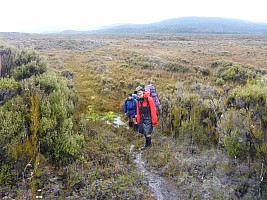 Freds Camp Hut to Freshwater Hut