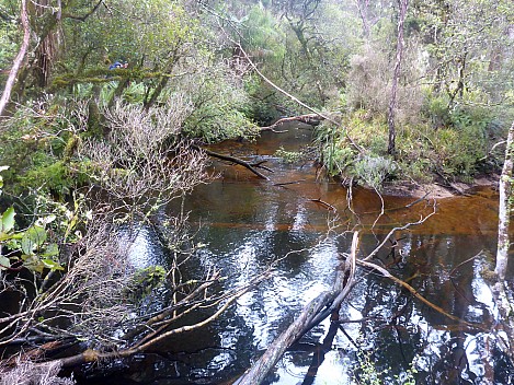 2019-11-14 11.08.52 P1030040 Simon - Tolson River.jpeg: 4608x3456, 5220k (2019 Nov 14 11:08)