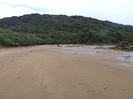 Ulva Island