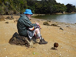 Ulva Island