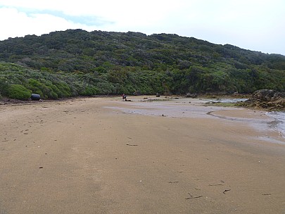 West End Beach
Photographer;&nbsp;Jim
2019-11-16&nbsp;11.26.44;&nbsp;Metadata time: '2019 Nov 16 11:26'
Original size:&nbsp;4,320 x 3,240; 4,790 kB
Filename: 2019-11-16 11.26.44 P1000801 Jim - West End Beach.jpeg