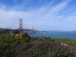 San Francisco: Alcatraz, Muir Woods, Sausolito