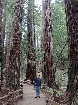 Jim at Muir Woods
Photo: Simon
2020-02-29 15.26.41; '2020 Feb 29 15:26'
Original size: 3,120 x 4,160; 7,424 kB