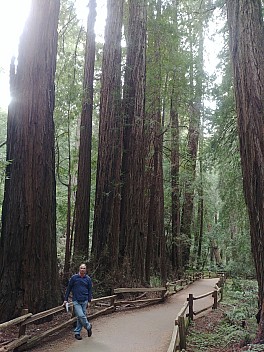 Jim in Muir Woods
Photo: Simon
2020-02-29 15.39.46; '2020 Feb 29 15:39'
Original size: 3,120 x 4,160; 7,109 kB