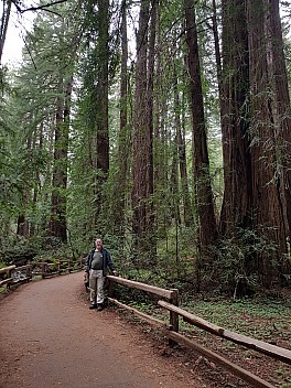 Simon in Muir Woods
Photo: Jim
2020-02-29 15.40.47; '2020 Feb 29 15:40'
Original size: 3,024 x 4,032; 5,634 kB