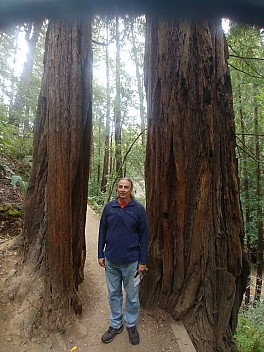 Jim in Muir Woods Hillside trail
Photo: Simon
2020-02-29 15.51.43; '2020 Feb 29 15:51'
Original size: 3,120 x 4,160; 4,692 kB