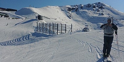 Cardrona