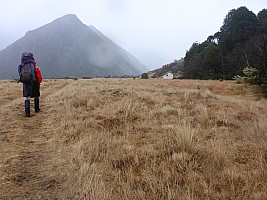 Erics Biv to Havelock River head and back to Mistake Flat