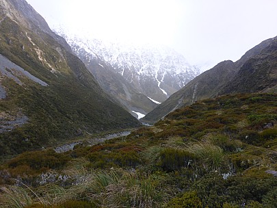 View up Havelock from Veil Biv trail
Photographer;&nbsp;Simon
2020-08-31&nbsp;09.23.49;&nbsp;Metadata time: '2020 Aug 31 09:23'
Original size:&nbsp;4,608 x 3,456; 6,018 kB
Filename: 2020-08-31 09.23.49 P1030396 Simon - view up Havelock from Veil Biv trail.jpeg