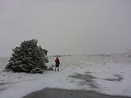 Snow day at Mistake Flats