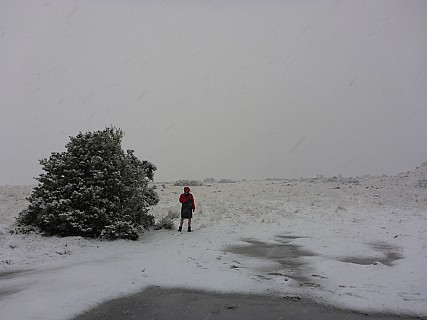 Brian on the snow at Mistake Flats
Photographer;&nbsp;Simon
2020-09-01&nbsp;08.13.46;&nbsp;Metadata time: '2020 Sept 01 08:13'
Original size:&nbsp;4,608 x 3,456; 6,026 kB
Filename: 2020-09-01 08.13.46 P1030436 Simon - Brian on the snow at Mistake Flats.jpeg