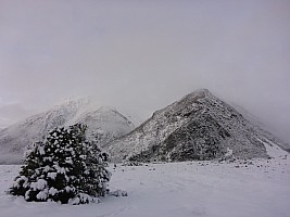 Mistake Flats Forbes River and Murphys Stream Mistake Flats Forbes River and Murphys Stream