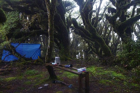 Campsite And Table
Photo: Philip
2021-01-23 08.06.13; '2021 Jan 23 08:06'
Original size: 4,320 x 2,880; 4,914 kB
2021-01-23 08.06.13 P1060399 Philip - campsite and table.jpeg