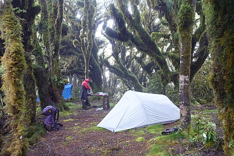 Brian cooking breakfast
Photographer;&nbsp;Philip
2021-01-23&nbsp;08.37.56;&nbsp;Metadata time: '2021 Jan 23 08:37'
Original size:&nbsp;4,320 x 2,880; 5,297 kB
Filename: 2021-01-23 08.37.56 P1060400 Philip - Brian cooking breakfast.jpeg