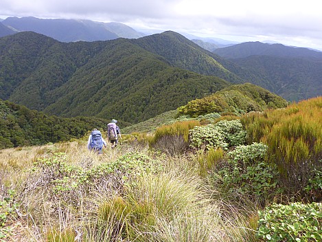 2021-01-22 15.42.38 P1030511 Simon - heading for Oriwa Ridge.jpeg: 4608x3456, 6007k (2021 Jan 24 16:21)