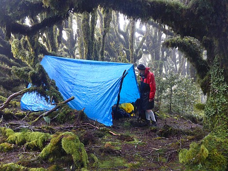 2021-01-23 08.04.10 P1030518 Simon - Tarpaulin fly camp.jpeg: 4608x3456, 6378k (2021 Jan 24 16:22)