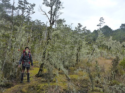 Brian and lichen
Photo: Simon
2021-09-23 08.40.46; '2021 Sept 23 08:40'
Original size: 4,608 x 3,456; 6,559 kB
2021-09-23 08.40.46 P1030658 Simon - Brian and lichen.jpeg