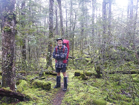 Hope Kiwi Lodge to Three Mile Stream Hut