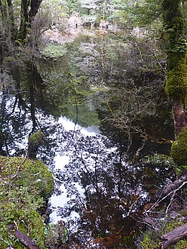 Three Mile Stream Hut to Hurunui Hut