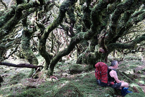Simon resting under a mossy tree
Photographer;&nbsp;Brian
2021-12-10&nbsp;15.28.05;&nbsp;Metadata time: '2021 Dec 10 15:28'
Original size:&nbsp;5,472 x 3,648; 13,362 kB
Filename: 2021-12-10 15.28.05 IMG_0150 Brian - Simon resting under a mossy tree.jpeg