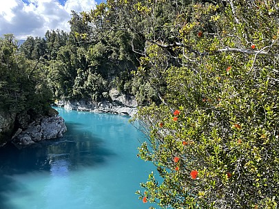 Rata at Hokitika Gorge
Photographer;&nbsp;Susie
2022-03-05&nbsp;11.50.01;&nbsp;Metadata time: '2022 Mar 05 11:50'
Original size:&nbsp;4,032 x 3,024; 9,067 kB
Filename: 2022-03-05 11.50.01 IMG_2698 Susie - Rata at Hokitika Gorge.jpeg