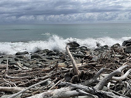 2022-03-06 13.56.30 IMG_2774 Susie - Oneone beach driftwood.jpeg: 4032x3024, 5259k (2022 Oct 22 08:29)