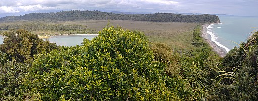 Mananui Bush, Mahinapua, Wanganui River, Oneone