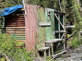 Mananui Bush, Mahinapua, Wanganui River, Oneone