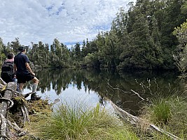 Mananui Bush, Mahinapua, Wanganui River, Oneone