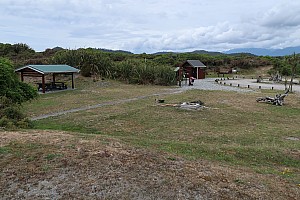 Mananui Bush, Mahinapua, Wanganui River, Oneone