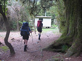 Copland River Welcome Flat Hut Copland River Welcome Flat Hut