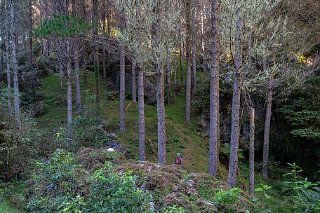 Near Skyline
Photographer;&nbsp;Peter Baxter
2022-04-15&nbsp;10.44.43
Original size:&nbsp;5,437 x 3,625; 17,821 kB
Filename: 2022-04-15 10.44.43 IMG_5145-1  Peter Baxter - near Skyline.jpeg