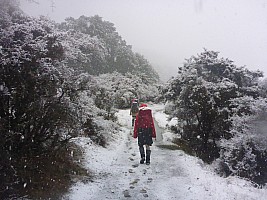 Fly Wellington to Ōtautahi, drive to Loch Katrine, tramp Hurunui River to Hurunui Hut