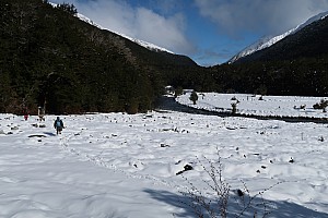 Tramp Hurunui River from Hurunui #3 Hut to Camerons Hut and beyond return