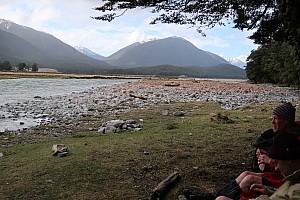 Hurunui #3 Hut to Hurunui Hut