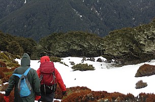 Macs Knob day trip Macs Knob day trip