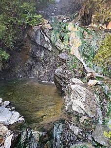 The Hot Pool
Photo: Simon
2022-07-31 11.36.39; '2022 Jul 31 11:36'
Original size: 3,024 x 4,032; 6,082 kB
2022-07-31 11.36.39 S20 Simon - the hot pool.jpeg