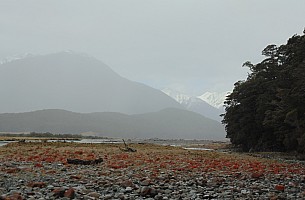 Hurunui #3 Hut to Hurunui Hut