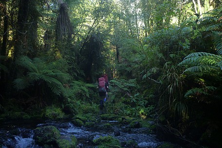 On Moeraki River track
Photographer;&nbsp;Philip
2023-04-16&nbsp;11.17.39;&nbsp;Metadata time: '2023 Apr 16 11:17'
Original size:&nbsp;4,320 x 2,880; 5,488 kB
Filename: 2023-04-16 11.17.39 P1070030 Philip - on Moeraki River track.jpeg