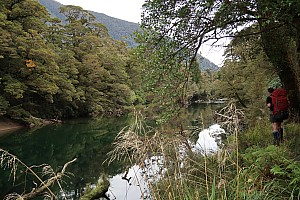 Moeraki River, Middle Head Hut to Blue River Hut