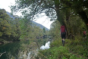 Moeraki River, Middle Head Hut to Blue River Hut