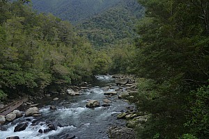 Moeraki River, Middle Head Hut to Blue River Hut