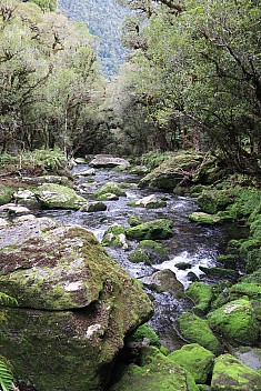 Mossy Creek
Photo: Brian
2023-04-17 13.39.38; '2023 Apr 17 13:39'
Original size: 3,648 x 5,472; 12,619 kB