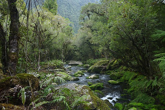 Mossy Creek
Photo: Philip
2023-04-17 13.40.28; '2023 Apr 17 13:40'
Original size: 4,320 x 2,880; 5,010 kB