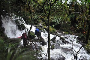 Blue River Hut to Māori Saddle Hut on the Haast Paringa Cattle track Blue River Hut to Māori Saddle Hut on the Haast Paringa Cattle track