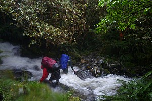 Blue River Hut to Māori Saddle Hut on the Haast Paringa Cattle track Blue River Hut to Māori Saddle Hut on the Haast Paringa Cattle track