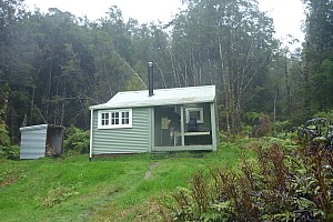 Blue River Hut to Māori Saddle Hut on the Haast Paringa Cattle track